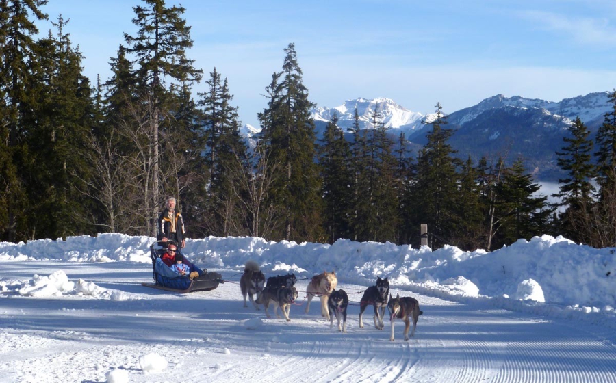 Wintersport Aillon-le-Jeune